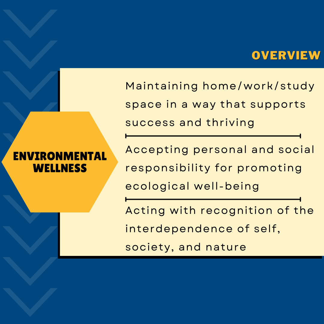 Environmental Wellness Overview
