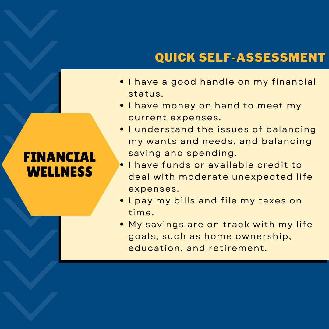 Financial Wellness Assessment