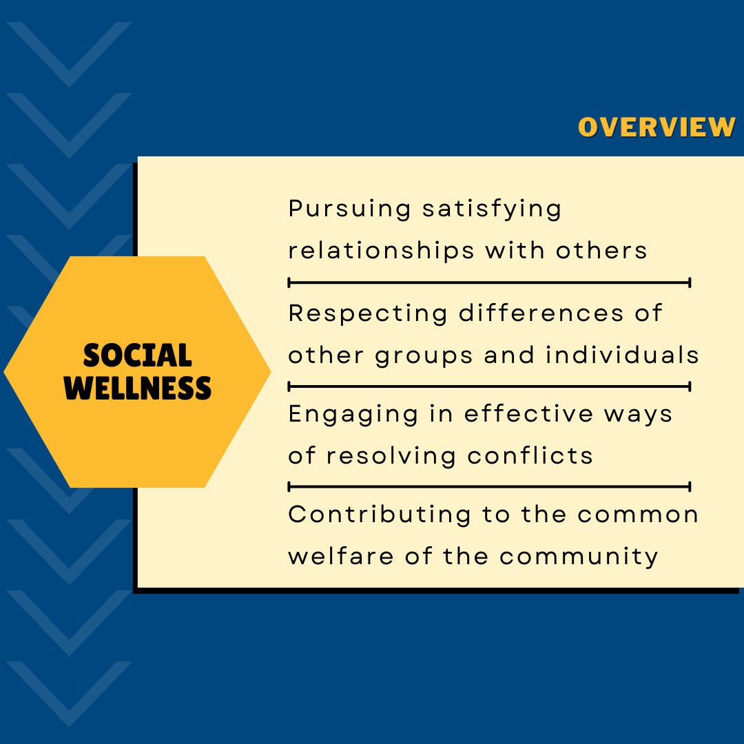 Social Wellness Overview