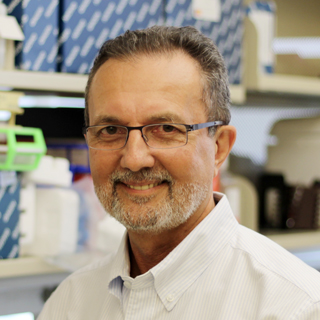 Wellington V. Cardoso, MD, PhD