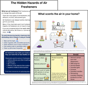 Health Homes Hidden Hazards infographics