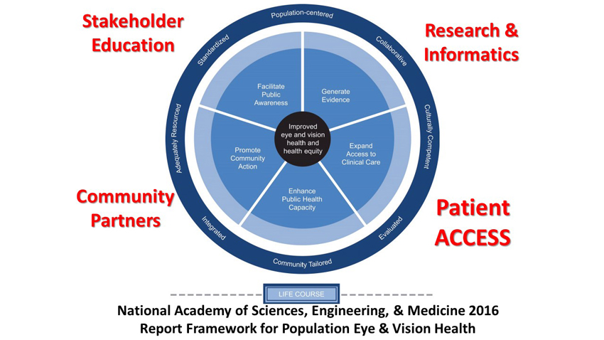 A wheel diagram shows the components necessary to build a successful population health model for vision care. At the center of the wheel is the is the goal of improved vision health. Spokes radiate outward from the center describing the underlying disciplines and support structures necessary to achieve the vision health goal. These include: 1) Patient access that is culturally competent and able to reach the entire population being addressed at all levels of disease and across the broadest socio-economic range. 2) The deployment of research and informatics to generate evidence so that treatment strategies are effective and cost efficient. 3) Education of the population and health care providers to facilitate vision health awareness. 4) Partnering strategies across organizations to promote community action and enhance access to vision care.