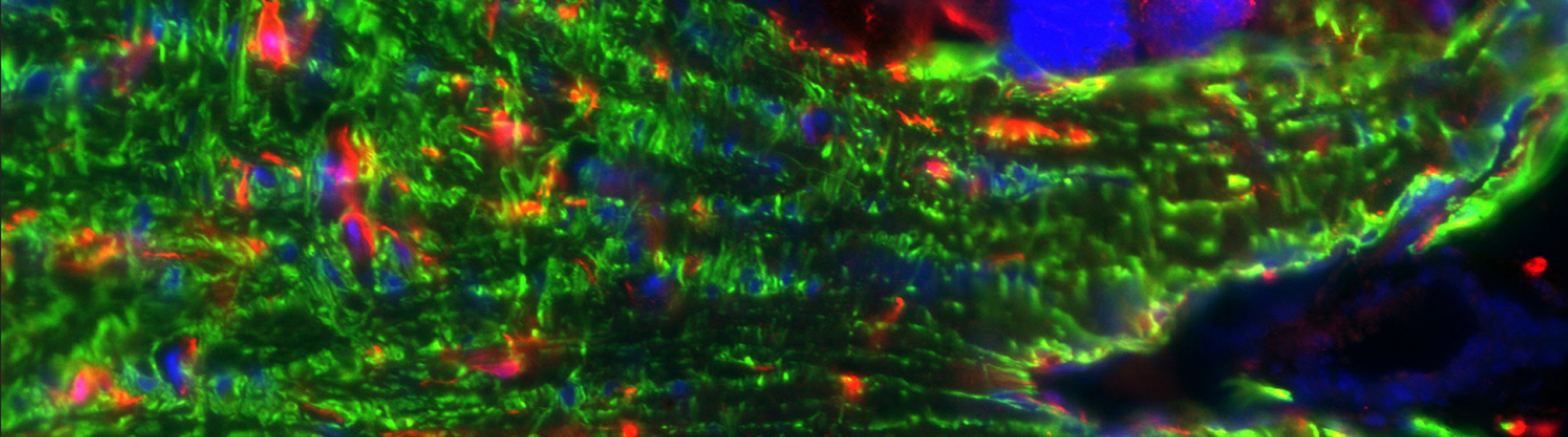 Libby Research - Photo 3