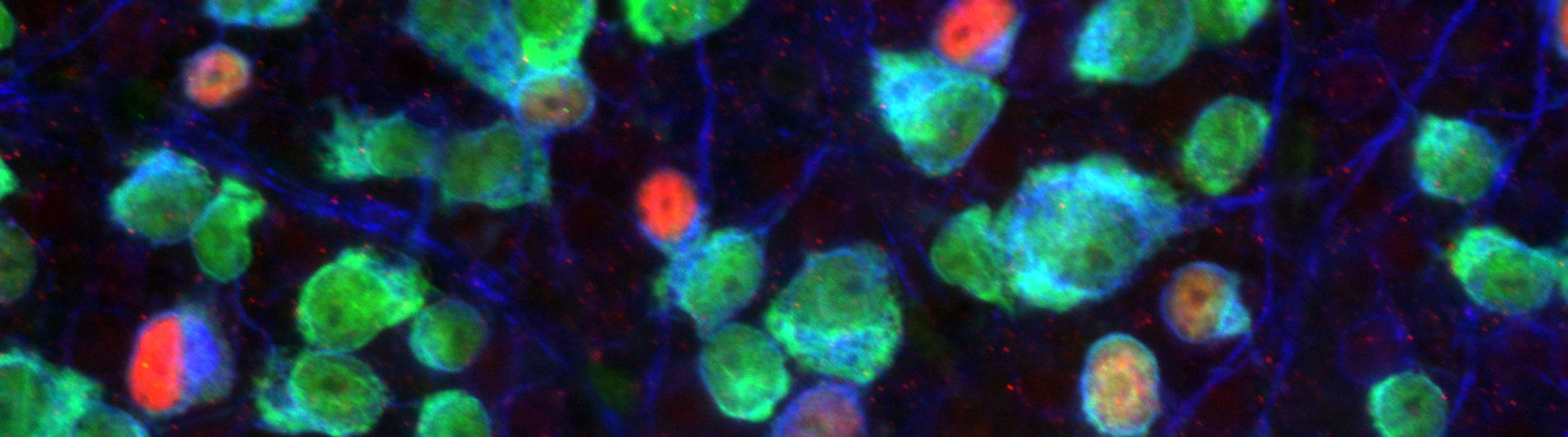 Libby Research - Photo 5