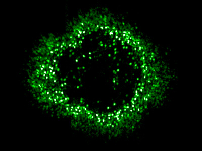 retinal ganglion cells