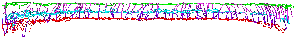 Cross-section illustration of the retina