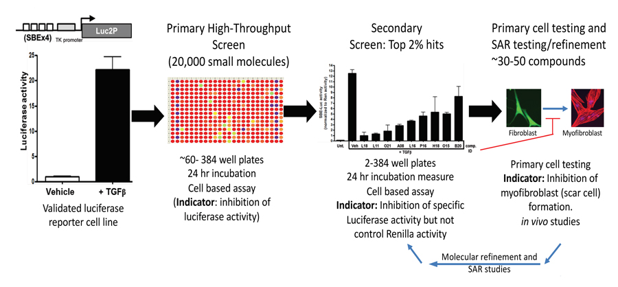 High Throughput Screening strategy