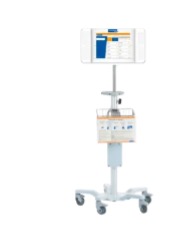 Language line dual handset cordless phone