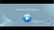 EchoCardiogram Video
