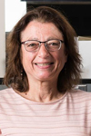 Photo of Lisa A. DeLouise, Ph.D., M.P.D.