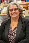 Photo of Paula Vertino, Ph.D.