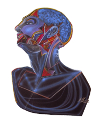 Illustration of human brain in upper torso