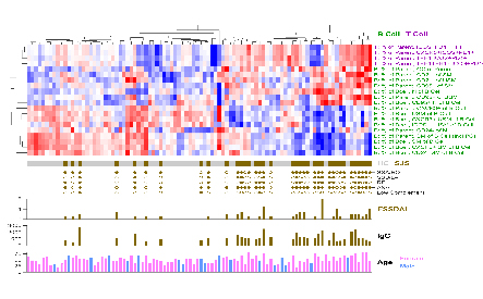 Phenotypic profiles of primary sjogren’s (pSS) and normal control characterized by multi-parameter flow cytometry. Cluster analysis reveals two distinct cluster of pSS patients based on T and B cells.