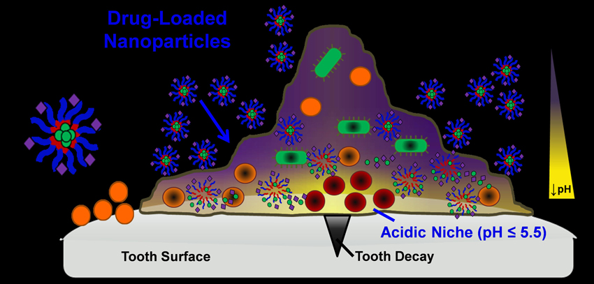 Drug Loaded Nanoparticles