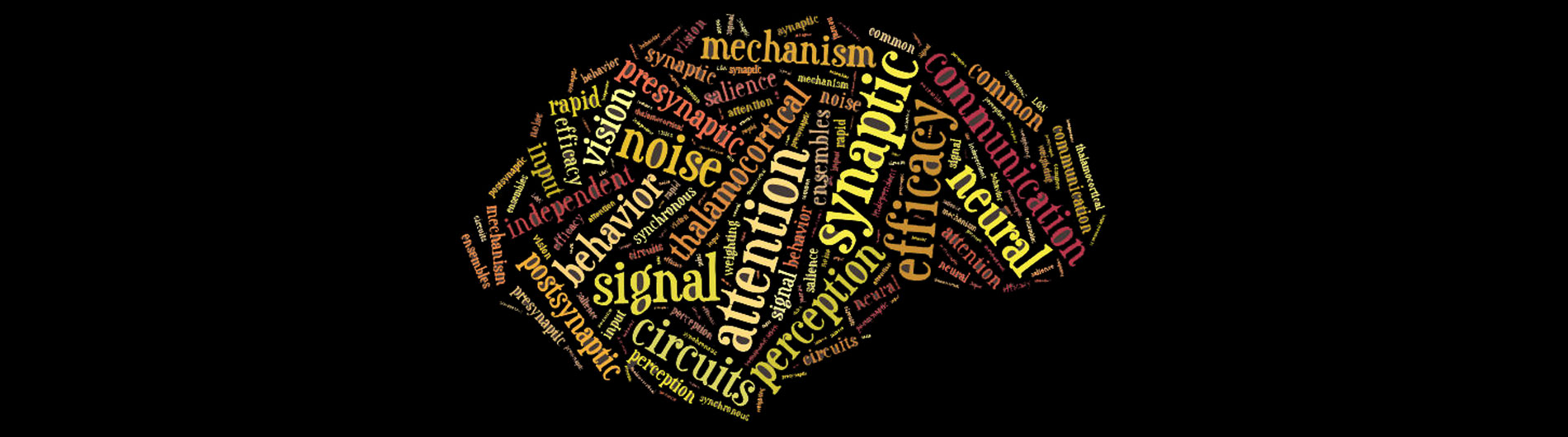 Briggs Lab - Coverart of words in shape of brain