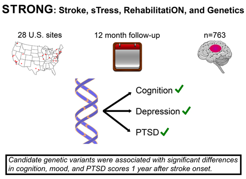 Illustration for STRONG study