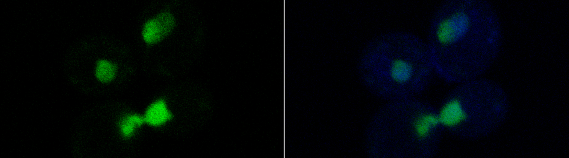 Butler lab research photo 2