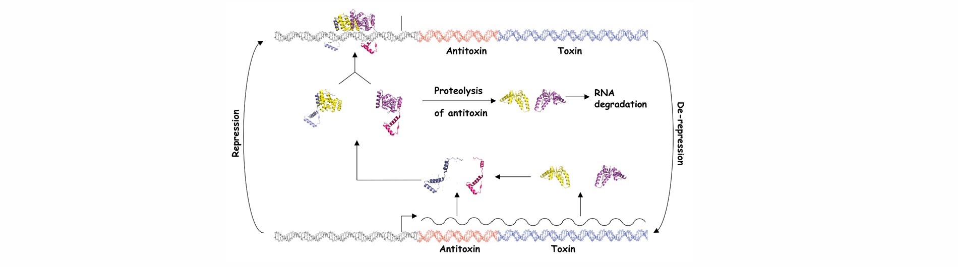 Butler lab research photo 3