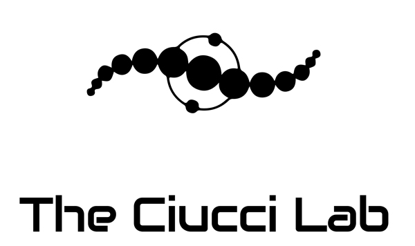 Ciucci lab graphic