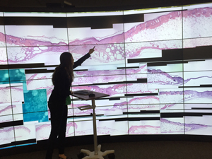 Photo of working in the lab