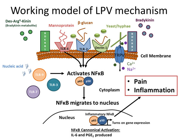 LPV mechanism