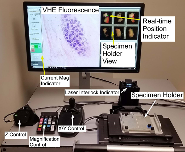 2 photon microscope