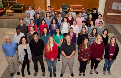 Photo of Goldman Lab members