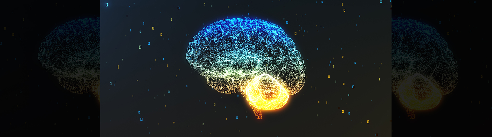 Banner image of brain