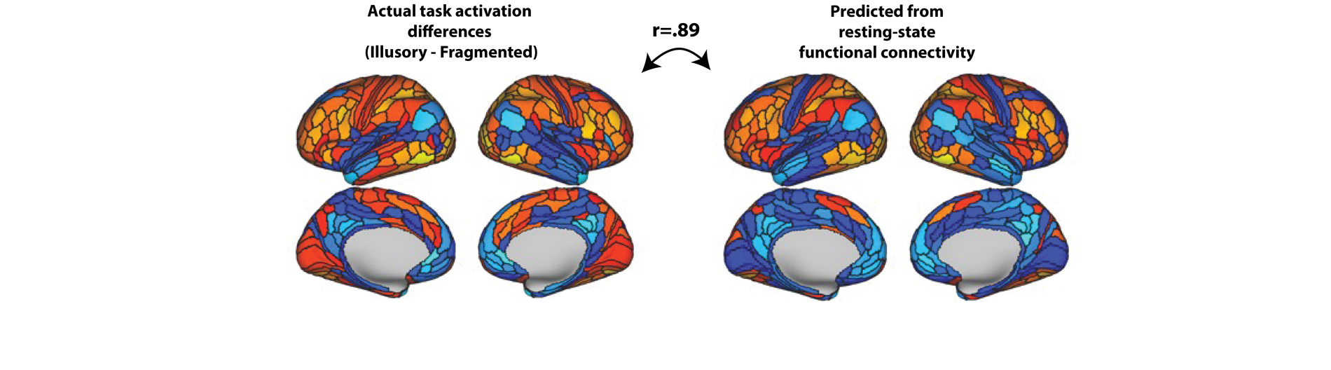 Keane Lab Research Photo 3