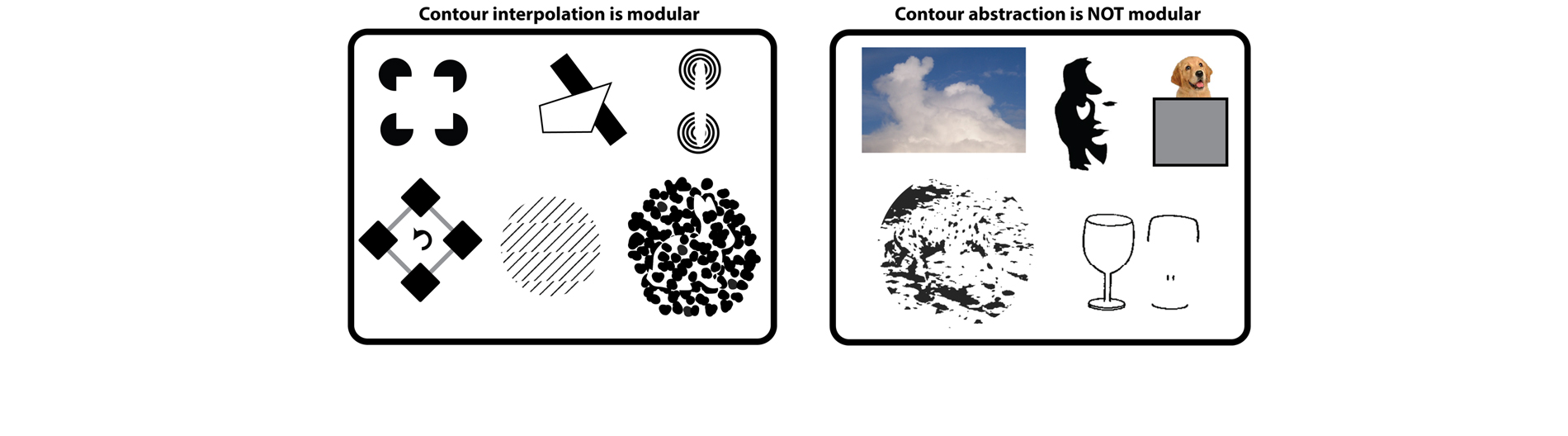 Keane lab research photo 4
