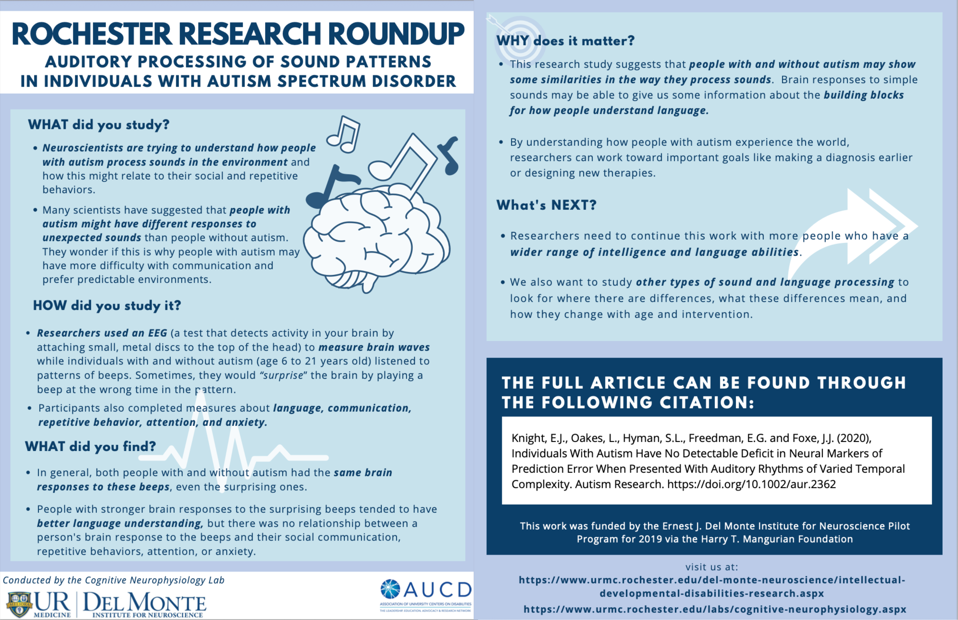 Auditory processing of sound patterns in individuals with autism spectrum disorder