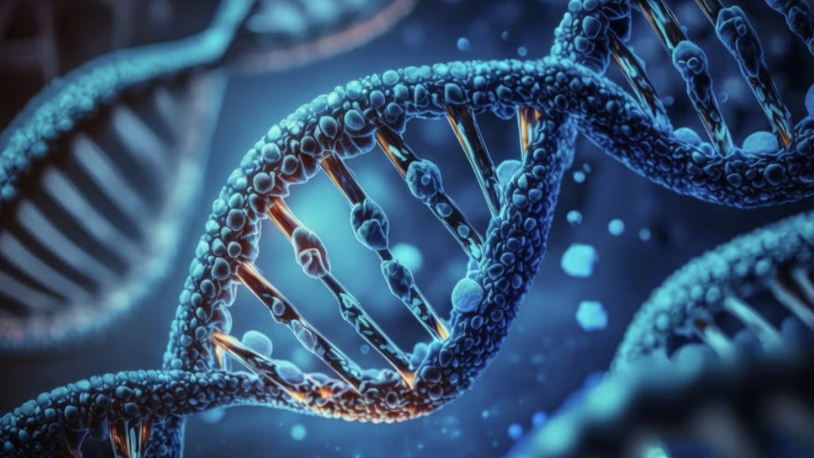 Artistic graphic representation of DNA strands.