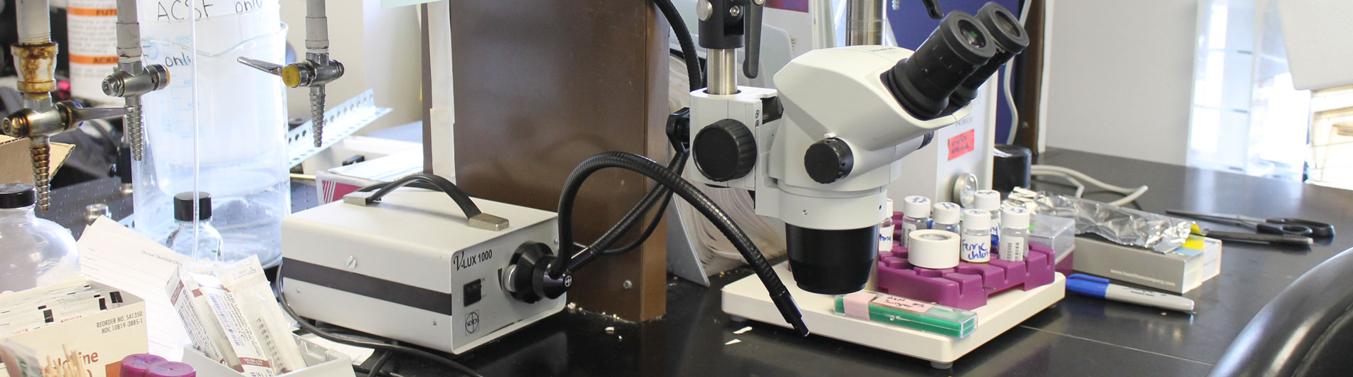 Photo of microscope on lab bench