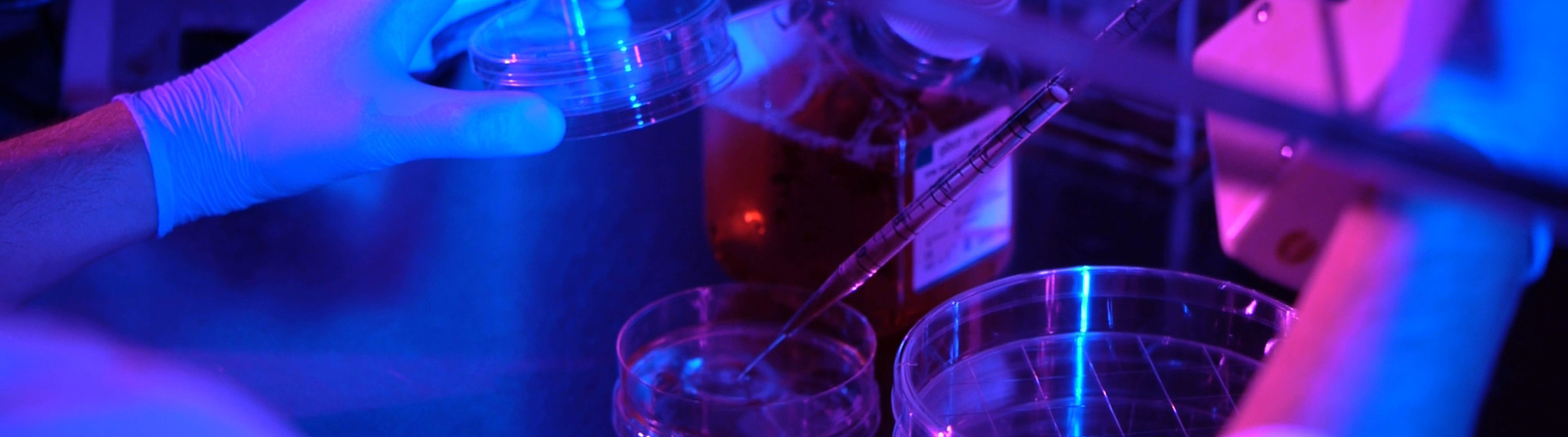 Microscope petri dish