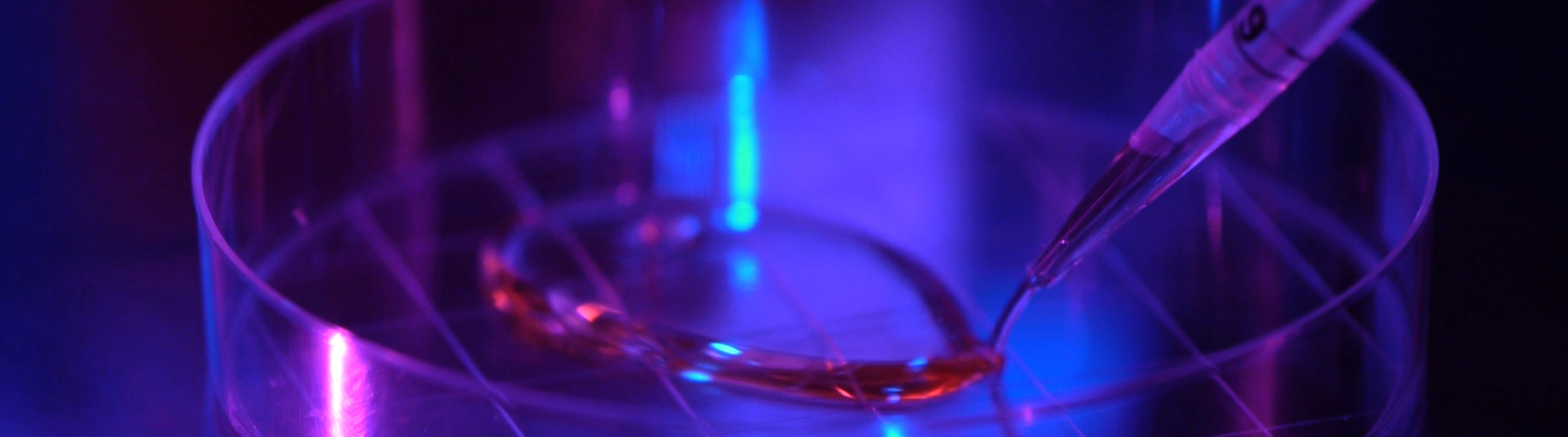 liquid in pretri dish