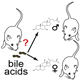 Illustration of Meeks Bile Acids research thumbnail