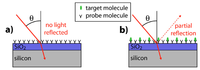 Schematic of Arrayed Imaging Reflectometry.