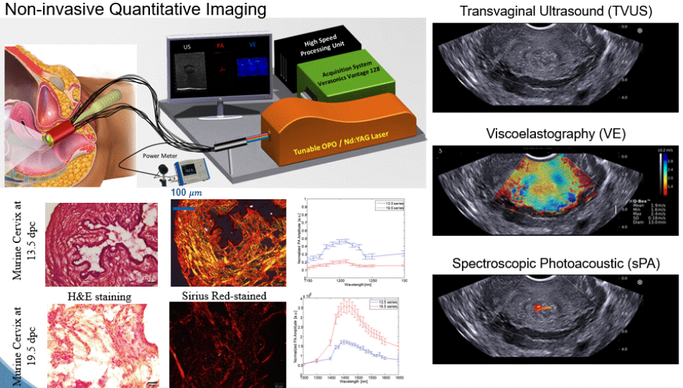 Non-Invasive Quantitive Imaging