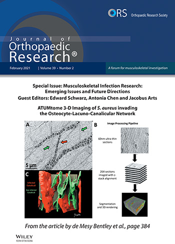 Journal of Orthopaedic Research