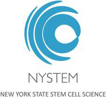 NYSTEM Logo