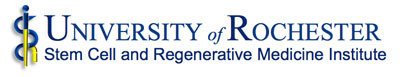 Stem Cell & Regenerative Medicine Institute