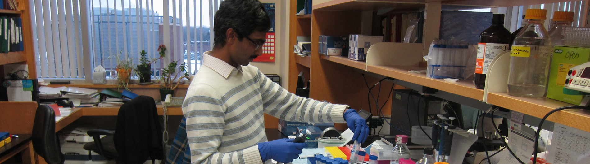 Rahman Research Photo 7