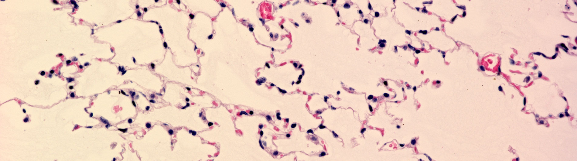 Rahman Research Photo 9