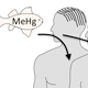 Methylmercury Metabolism and Elimination Status (MerMES) in Humans