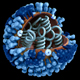 3D representation of influenza virus