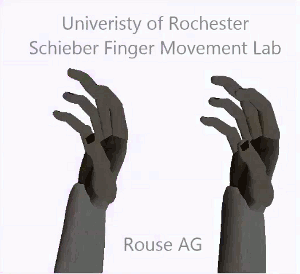 Schieber Fingers
