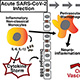 SARS-CoV-2 Infection