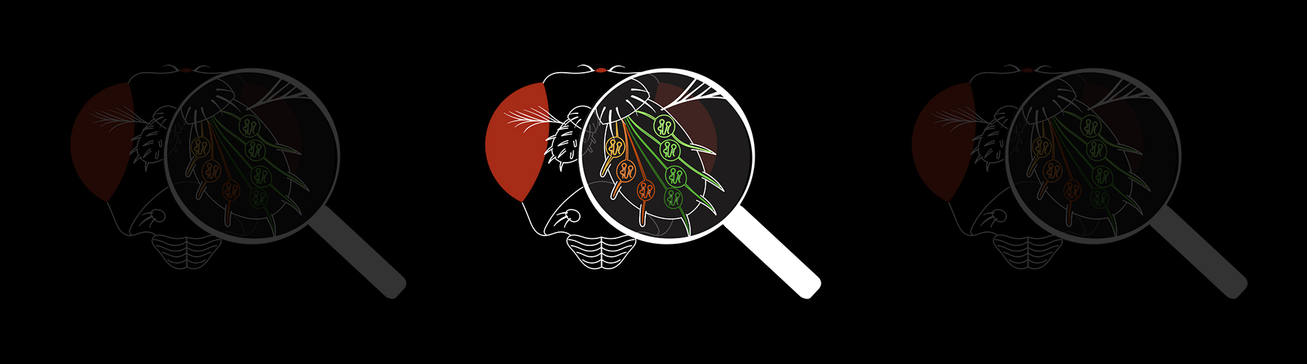 Image depicting long non-coding RNAs as the lab logo