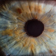 Closeup photo of eye