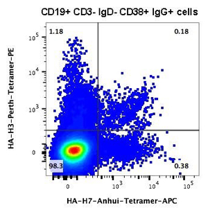 Image of flow cytometric analysis